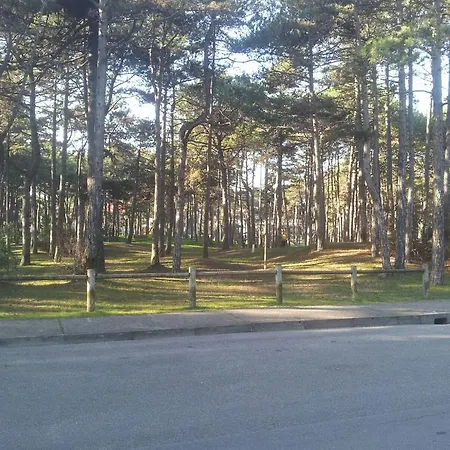 Apartamento Ivo E Licia Lignano Sabbiadoro